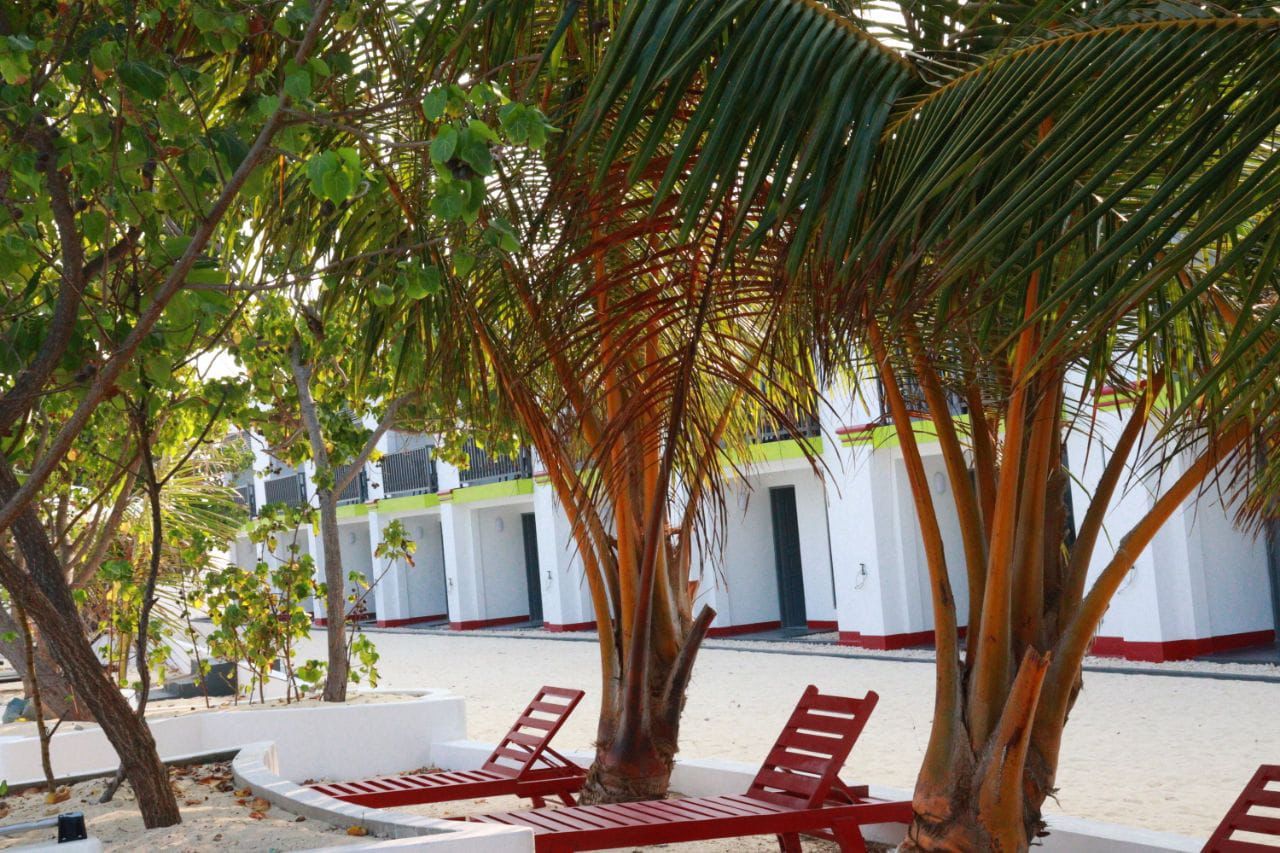 Beachside dining
