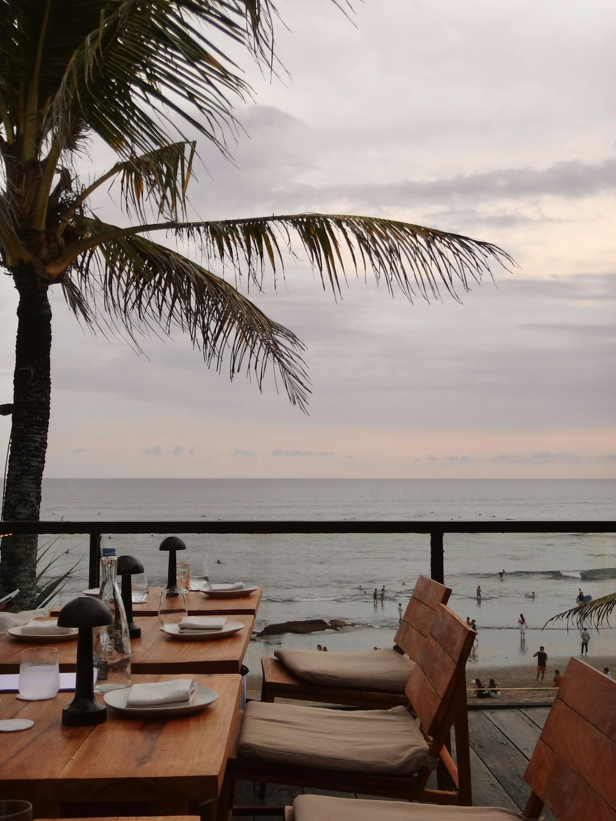 Dinner Under the Stars