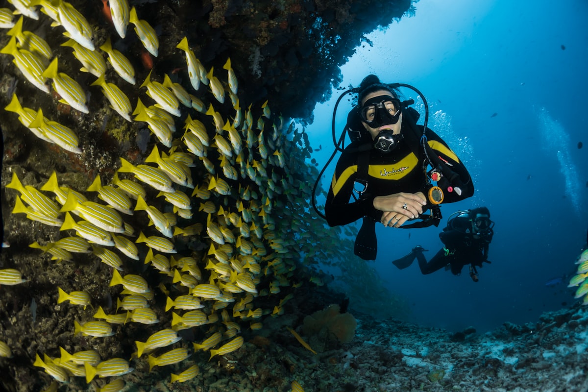 Wake with the Reef