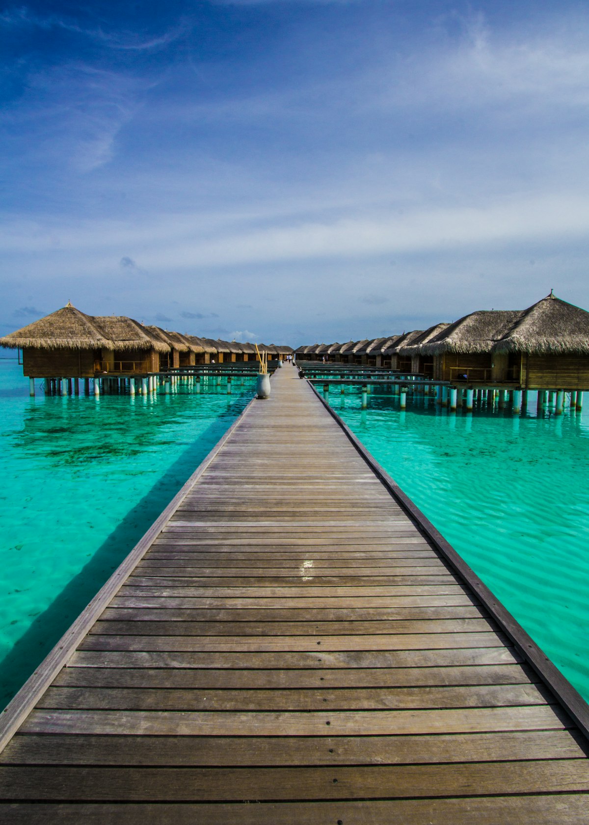 Maldives palm-fringed beach