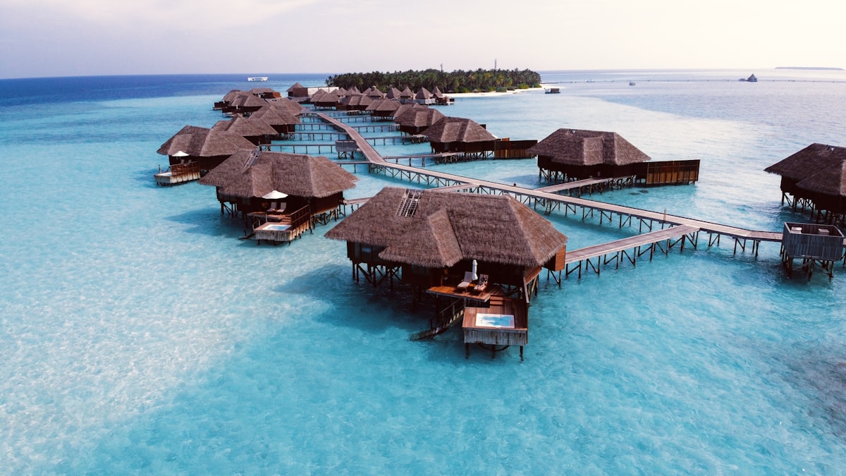 Private beach loungers